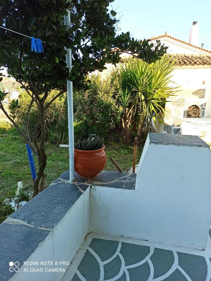 Sunny * Agios Georgios (Troezen)