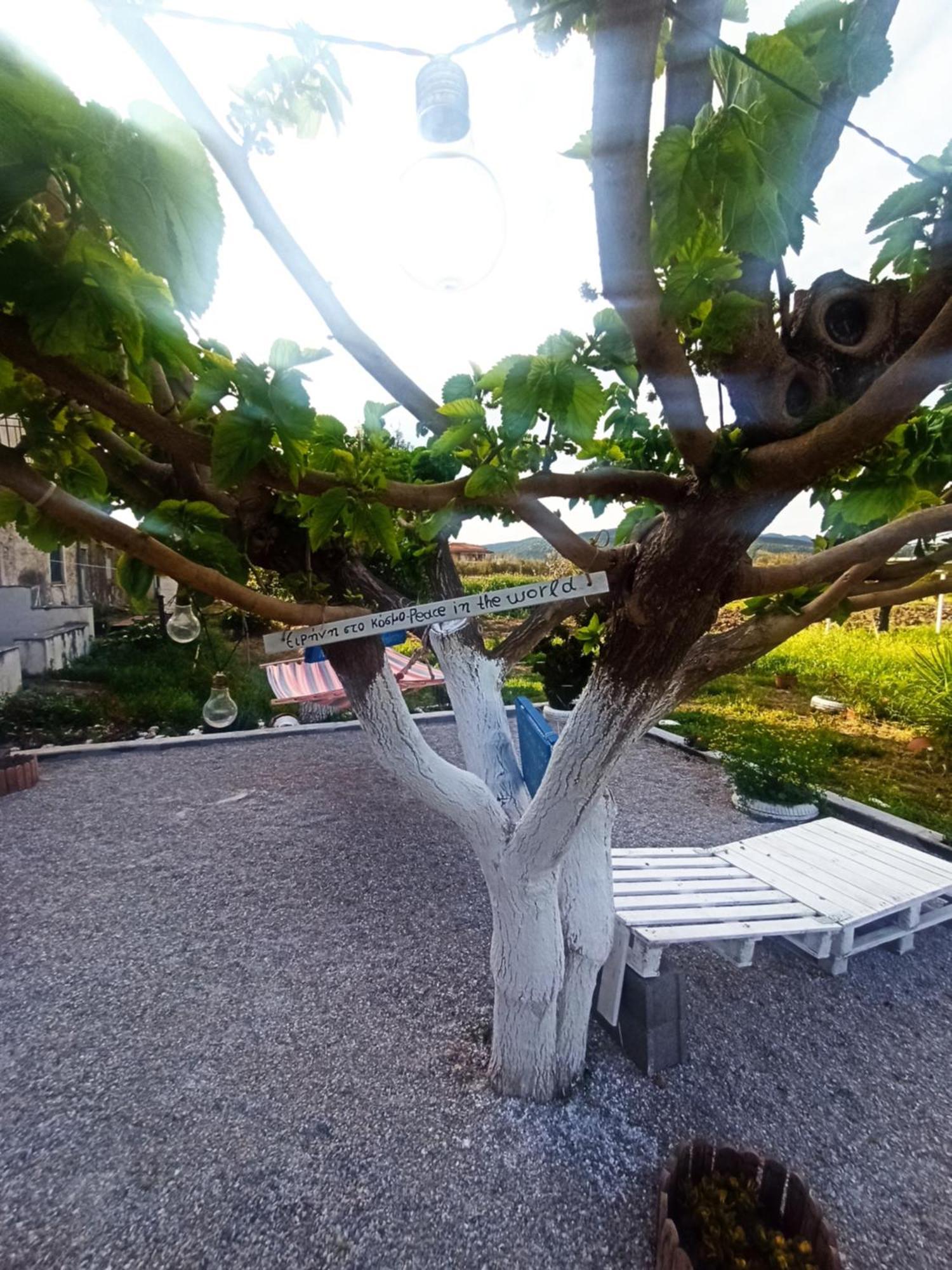 Holiday home Sunny Agios Georgios (Troezen)